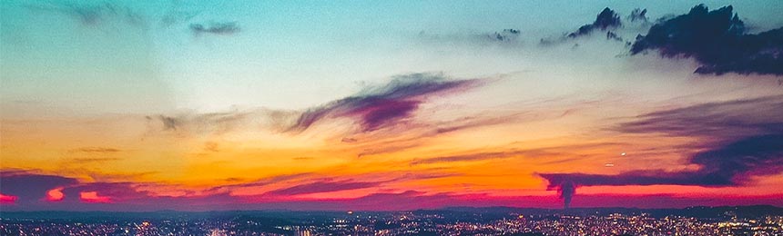 灌云茶虫网_灌云品茶